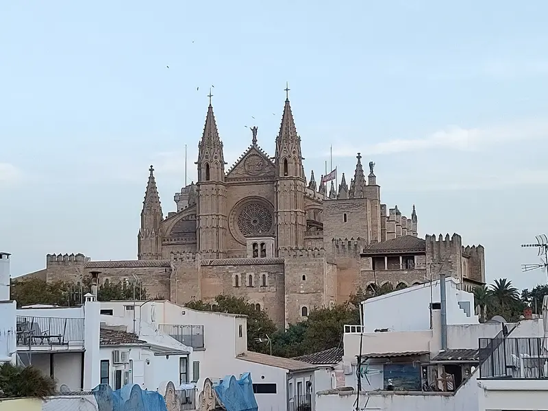 La Llonja de Palma con la Catedral de Mallorca al fondo